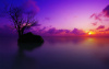 Purple Sunset