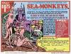 Seamonkeys