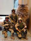 Cat Soldiers