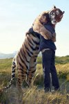 Tiger Hug