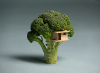 Broccoli House