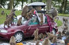 Baboon Car