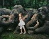 Elephant Girl